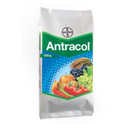 Antracol® - A fungicide with the presence of Zinc.
