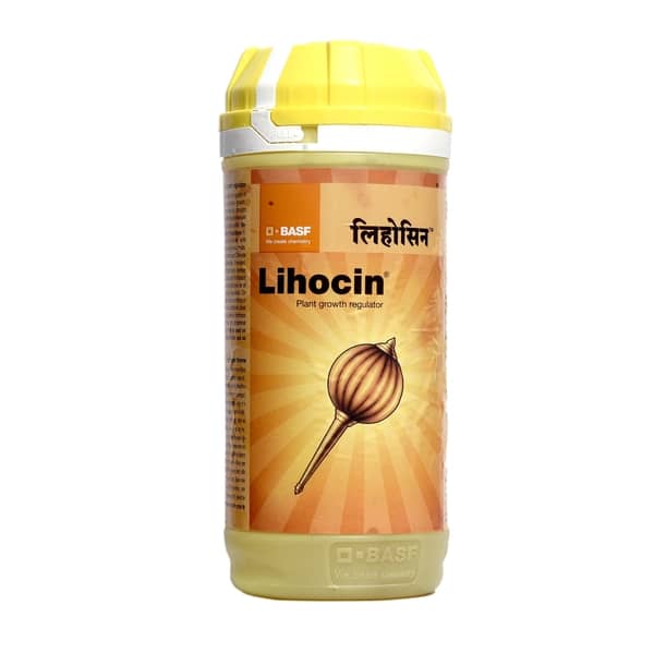 Lihocin