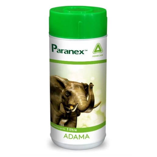 Paranex