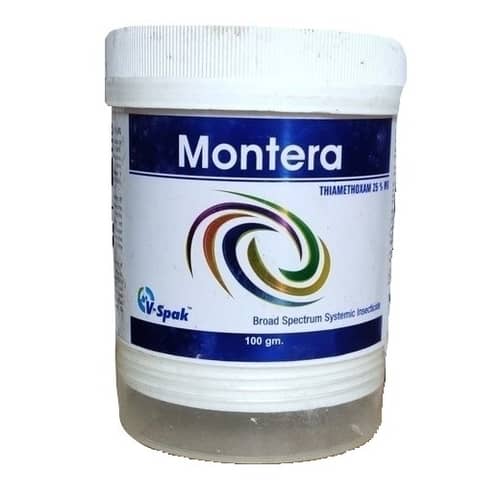 Montera