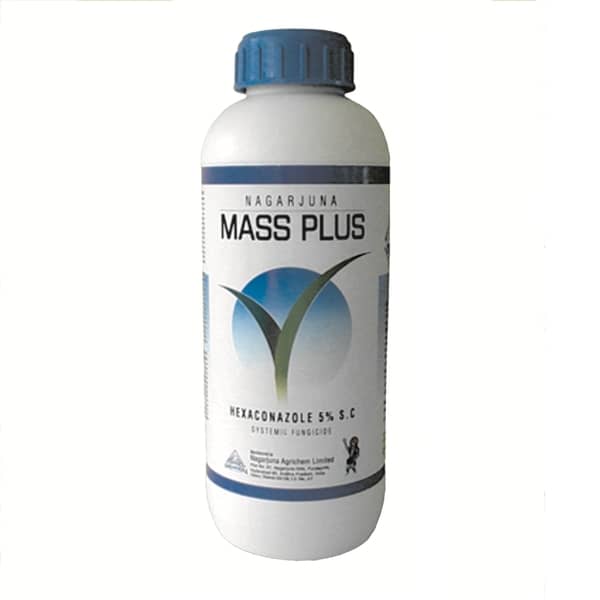 Mass Plus