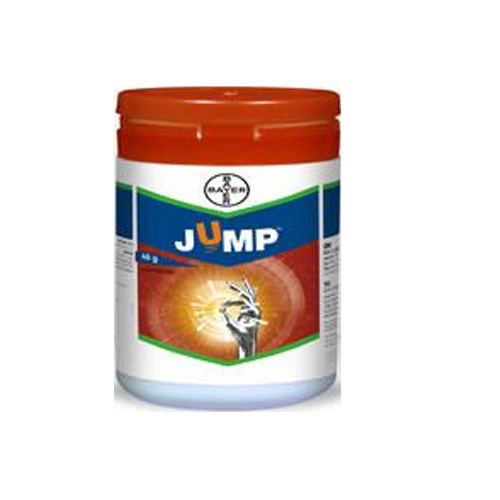 which insecticides and pesticides for spinach which insecticides and pesticides for spinach