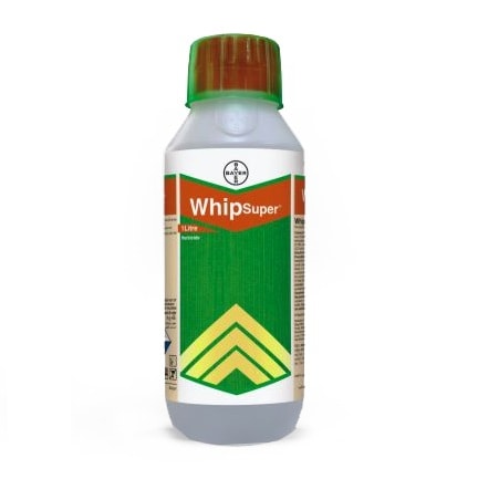 WhipSuper