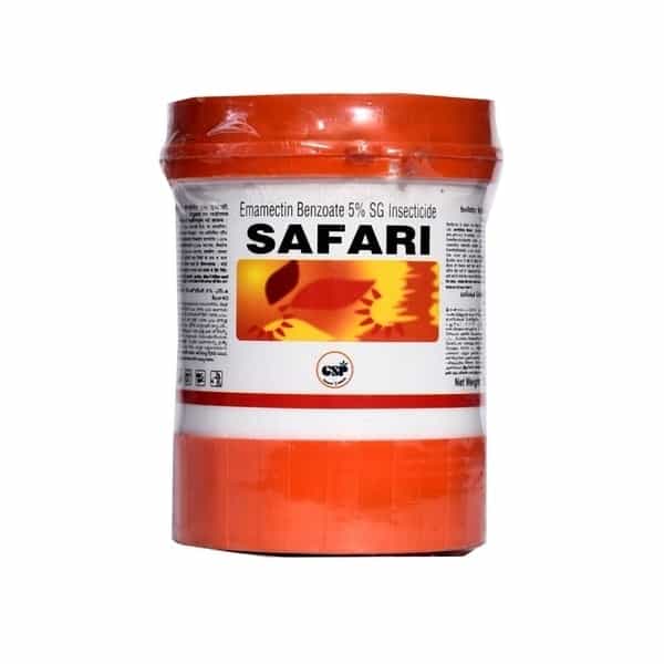 Safari