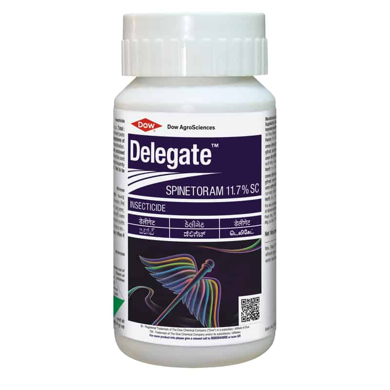 Delegate