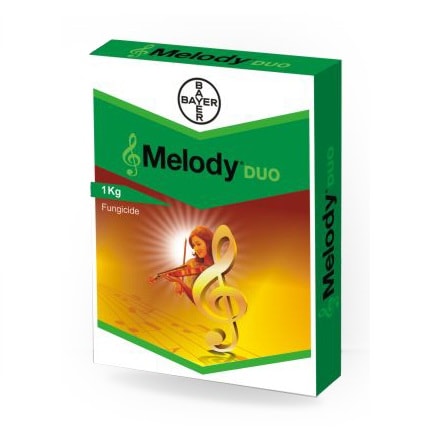 Melody Duo