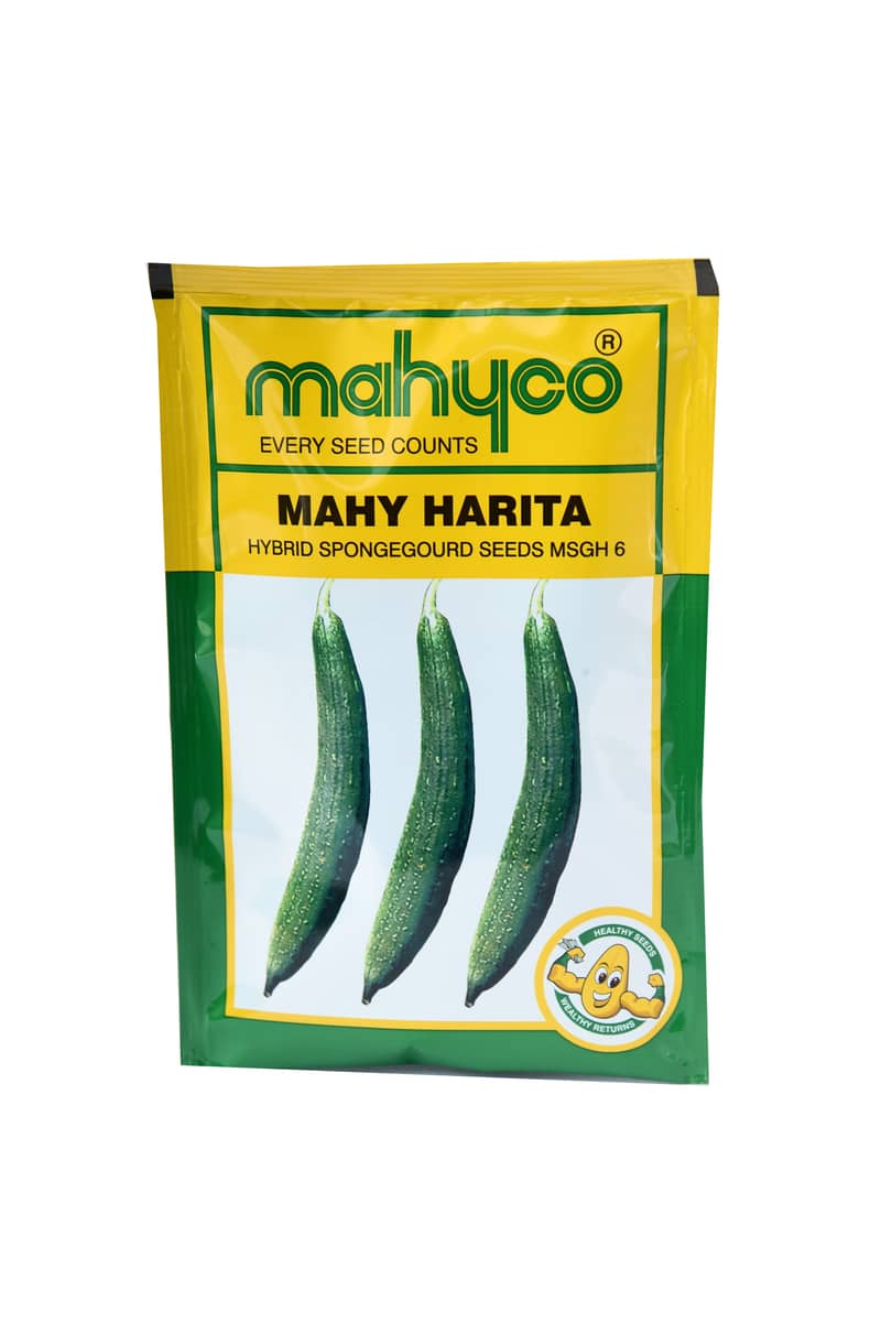 Mahy Harita