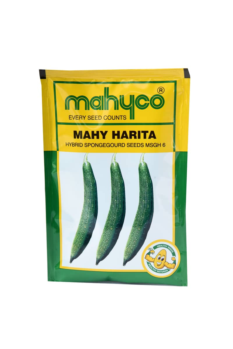Buy Mahy Harita Spongegourd Seeds By Mahyco Seeds Online In India 