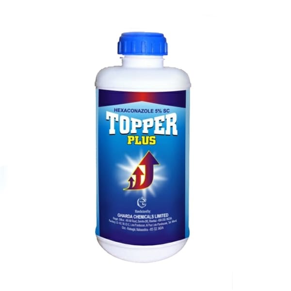 Topper Plus