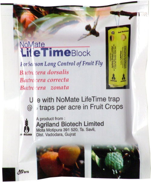 Fruit Fly Blocks for fruit crops  